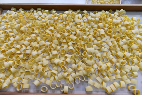 Terra Antica Pasta production